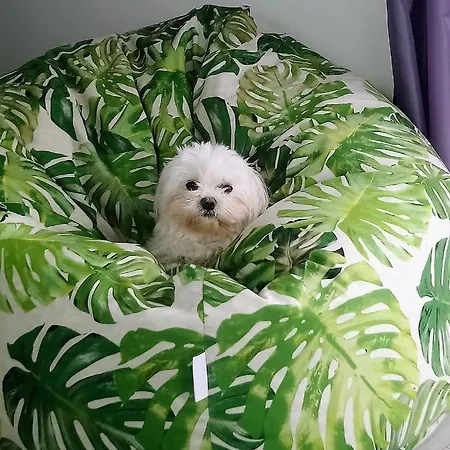 Apartmán Arka 2 Na Wodzie W Mielnie 400 Metrow Do Morza, Rower Wodny, Wifi, Parking