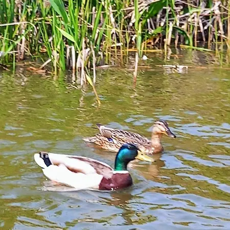 Arka 2 Na Wodzie W Mielnie 400 Metrow Do Morza, Rower Wodny, Wifi, Parking