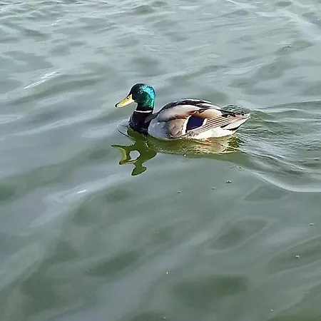 דירה Arka 2 Na Wodzie W Mielnie 400 Metrow Do Morza, Rower Wodny, Wifi, Parking מיילנו