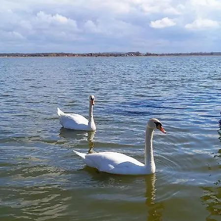 Arka 2 Na Wodzie W Mielnie 400 Metrow Do Morza, Rower Wodny, Wifi, Parking דירה