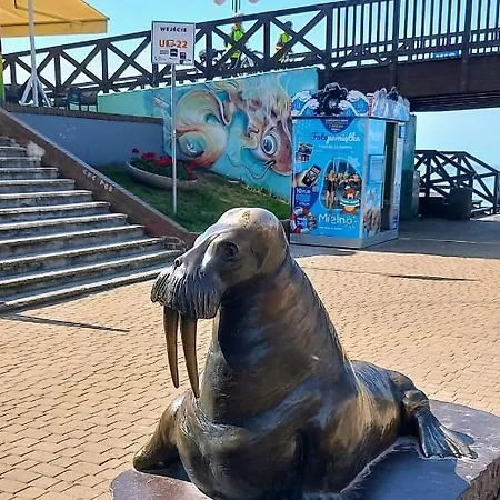 Arka 2 Na Wodzie W Mielnie 400 Metrow Do Morza, Rower Wodny, Wifi, Parking