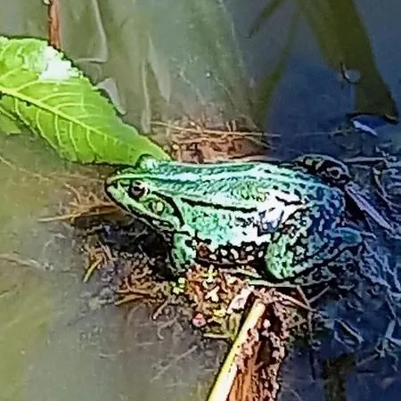 דירה Arka 2 Na Wodzie W Mielnie 400 Metrow Do Morza, Rower Wodny, Wifi, Parking *