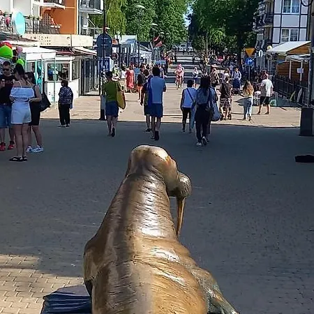 דירה Arka 2 Na Wodzie W Mielnie 400 Metrow Do Morza, Rower Wodny, Wifi, Parking *