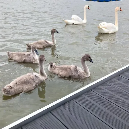 Arka 2 Na Wodzie W Mielnie 400 Metrów Do Morza, Rower Wodny, Wifi, Parking Apartamento Mielno (Koszalin)