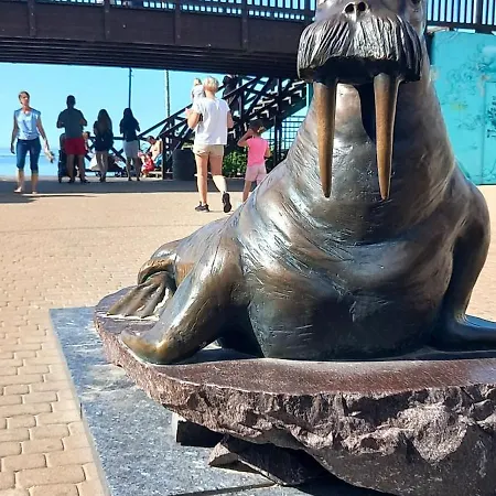 Arka 2 Na Wodzie W Mielnie 400 Metrów Do Morza, Rower Wodny, Wifi, Parking