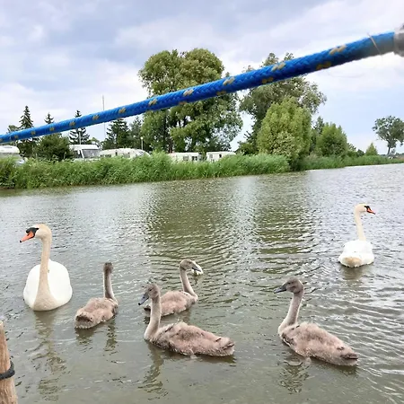 Arka 2 Na Wodzie W Mielnie 400 Metrów Do Morza, Rower Wodny, Wifi, Parking *
