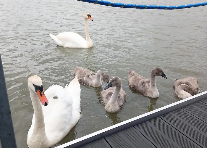 Arka 2 Na Wodzie W Mielnie 400 Metrów Do Morza, Rower Wodny, Wifi, Parking Mielno (Koszalin)